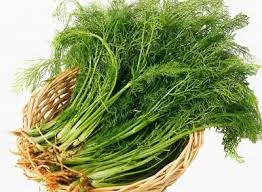 Arapsaçı Otu Nedir? Faydaları Nelerdir?