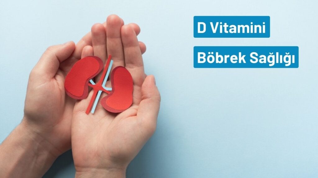 D vitamini ve Böbrek sağlığı