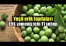 Yeşil Eriğin Sağlığa Faydaları – Nefis Yemek Tarifleri