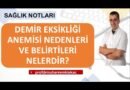 Demir Eksikliğine Neler Sebep Olur? – Nefis Yemek Tarifleri