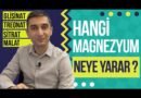 Magnezyumun Faydaları ve Kullanım Alanları Nelerdir?