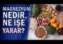 Magnezyum Nerelerde Bulunur? Magnezyum Zengin Besinler