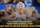 KİLOSU 150 TL! B ve D Vitamini Zengini! Tansiyonu Dengeliyor ve Kalp Hastalıkları Riskini Azaltıyor