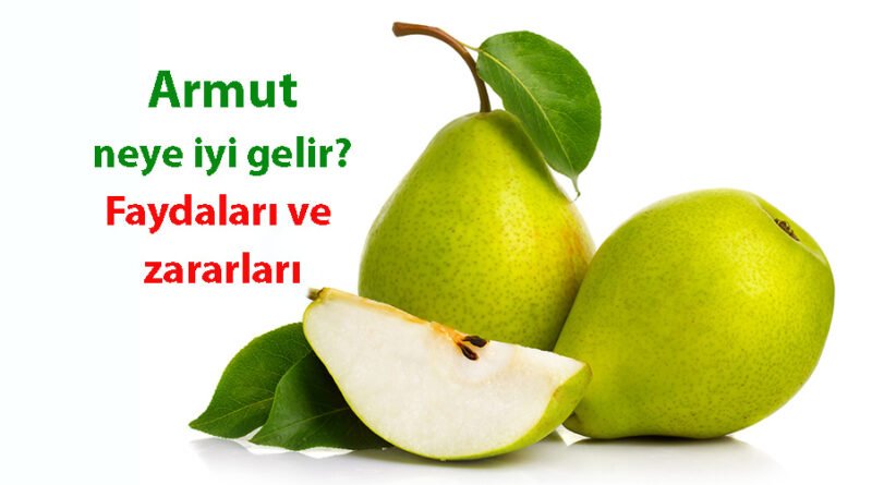 Armutun Faydaları ve Zararları: Hangi Durumlarda İyi Gelir?