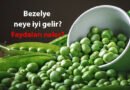 Bezelye neye yarar? Nasıl hazırlanır? Faydaları ve zararları nelerdir? 