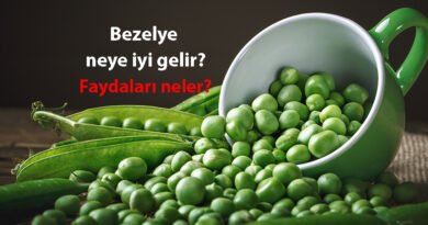 Bezelye neye yarar? Nasıl hazırlanır? Faydaları ve zararları nelerdir?