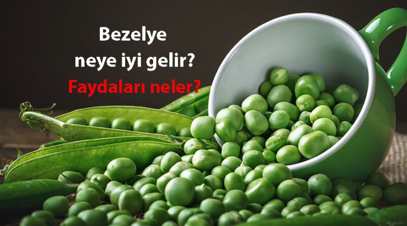 Bezelye neye yarar? Nasıl hazırlanır? Faydaları ve zararları nelerdir?