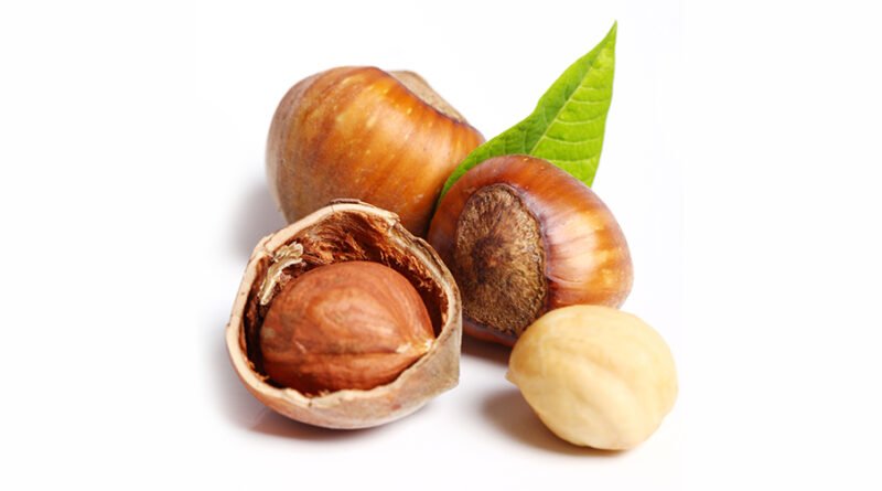 Fındığın Sağlığa Faydaları ve Fındık Yağının Saç ve Cilt Üzerindeki Yararları