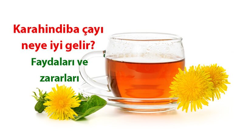 Karahindiba Neye İyi Gelir? Karahindibanın Faydaları ve Zararları