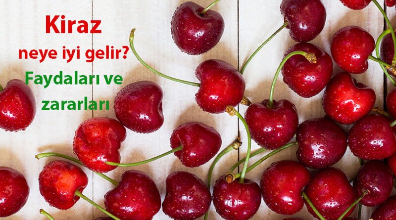 Kirazın Faydaları, Zararları ve Alerji Riski: Neye İyi Gelir?