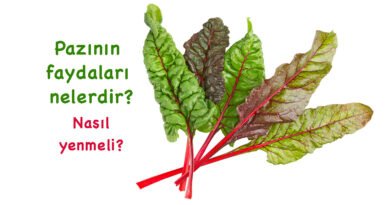 "Pazının Faydaları ve Zararları: Neye İyi Gelir ve Nasıl Tüketilmelidir?"