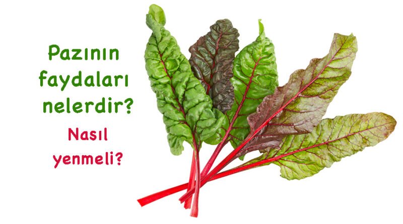 "Pazının Faydaları ve Zararları: Neye İyi Gelir ve Nasıl Tüketilmelidir?"