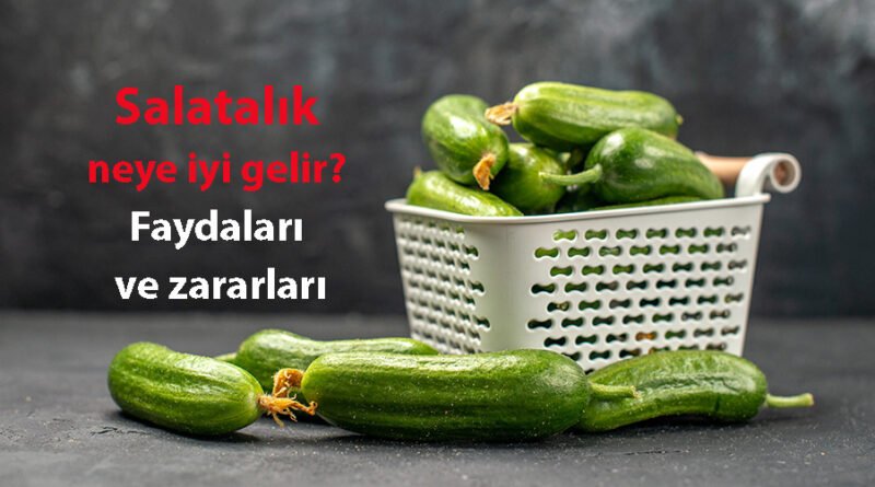 Salatalığın Faydaları: Suyunun Yararları ve Olası Zararları