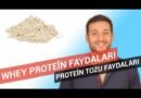 Protein Tozunun Faydaları ve Kullanım Alanları Nelerdir?