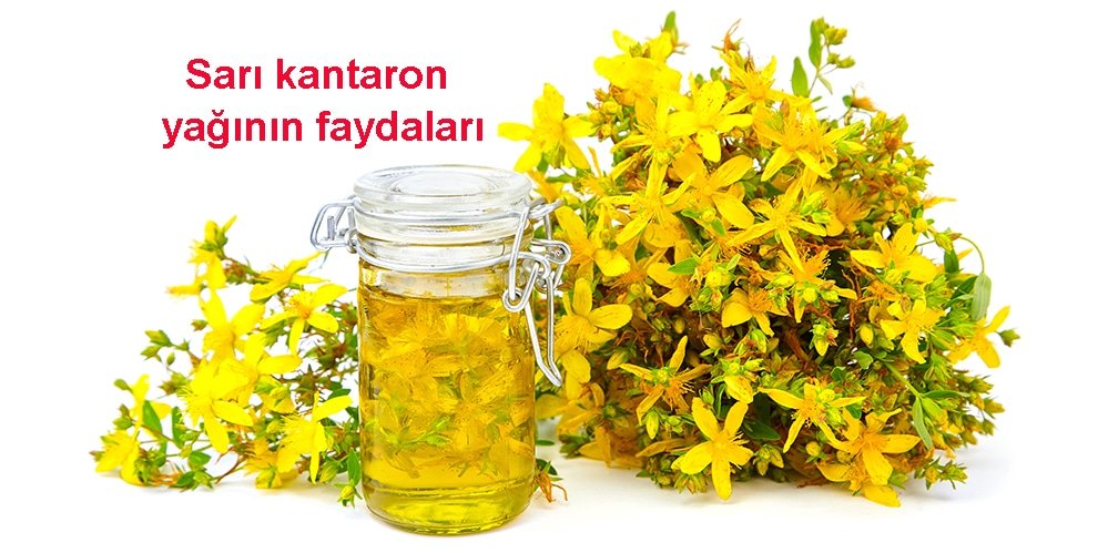 Sarı kantaron yağı: Faydaları, kullanımı ve sağlık yararları nelerdir?