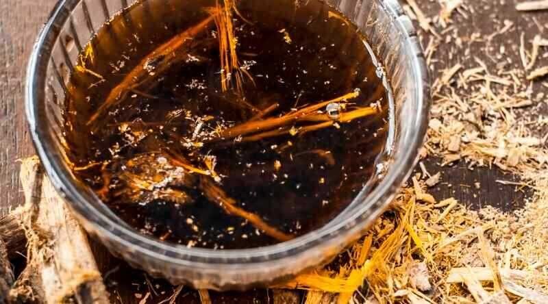 Meyan Kökü Nedir ve Faydaları Nelerdir?