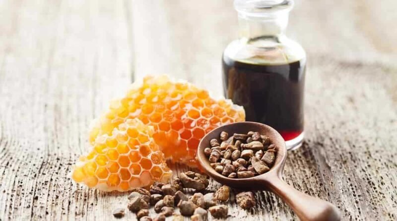 Propolis Nedir ve Faydaları Nelerdir?