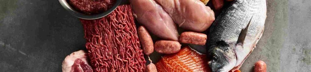 Carnivore Diyeti Nedir? Nasıl Uygulanır?