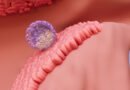 Embriyo Yapıştırıcı (Embryo Glue) Nedir ve Kimler Tarafından Kullanılır?