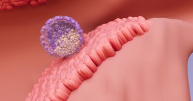 Embriyo Yapıştırıcı (Embryo Glue) Nedir ve Kimler Tarafından Kullanılır?