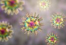 Herpes Virüsü: Tanımı, Belirtileri, Bulaşıcılığı ve Tedavi Yöntemleri