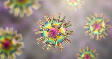 Herpes Virüsü: Tanımı, Belirtileri, Bulaşıcılığı ve Tedavi Yöntemleri