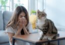 Kedi Alerjisi: Nedir, Nedenleri, Belirtileri ve Tedavi Yöntemleri