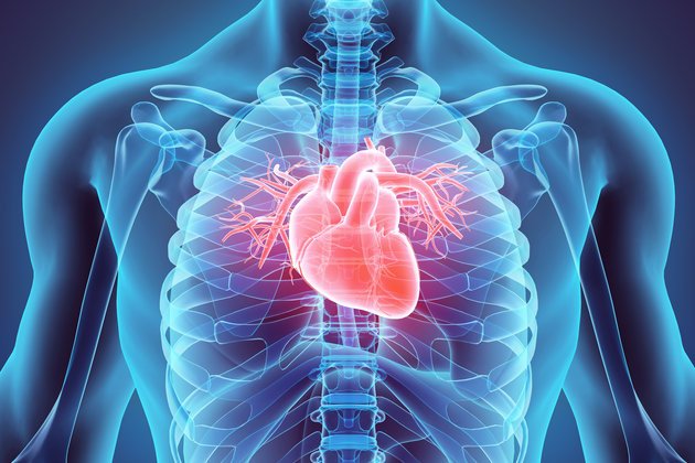 Yüksek Tansiyon, Organ Hasarına Yol Açmadan Belirti Vermiyor