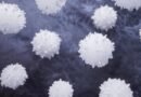 NEU (Nötrofil) Nedir? NEU Yüksekliği ve Düşüklüğü Hakkında Bilgiler