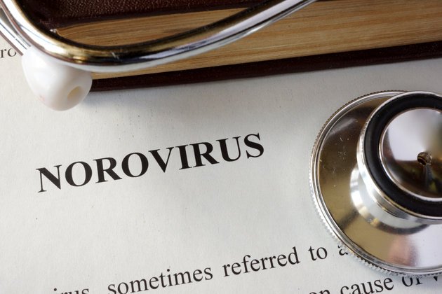 Norovirüs: Tanımı, Belirtileri, Teşhis Yöntemleri ve Tedavi Seçenekleri