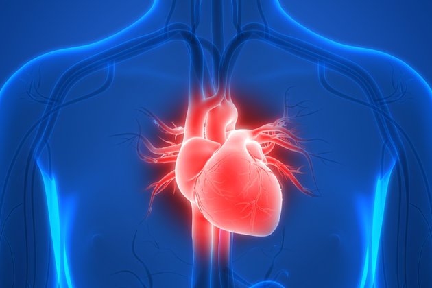 Atriyal Septal Defekt (ASD): Tanımı, Belirtileri ve Tedavi Seçenekleri nelerdir?