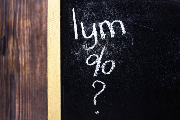 LYM: Nedir, Fonksiyonları ve Yüksek-Düşük Değerleri