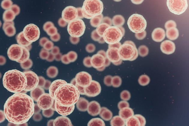 Kanserin Oluşum Süreci | Anadolu Sağlık Merkezi Hastanesi