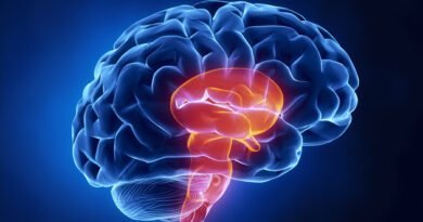 Beyin Sapı Tümörlerinin Belirtileri, Tanı Süreci ve Tedavi Yöntemleri