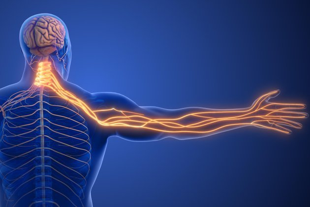 Nöropati Nedir? Belirtileri Nelerdir?