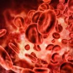 Kan Grupları Nelerdir? Kan Grubunu Öğrenmenin Yolları Nelerdir?