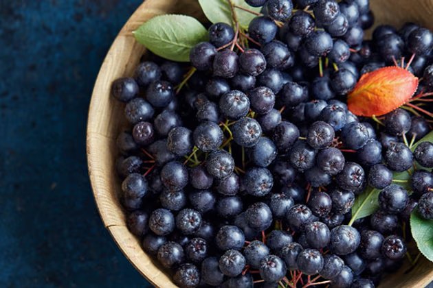 Aronya Nedir? Aronya Meyvesinin Faydaları Nelerdir?