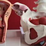 Klitoris Nedir? Klitoris Kaşıntısının Nedenleri