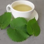 Ayahuasca Nedir? Ayahuasca Çayı Ne Amaçla Kullanılır?