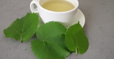 Ayahuasca Nedir? Ayahuasca Çayı Ne Amaçla Kullanılır?