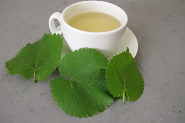 Ayahuasca Nedir? Ayahuasca Çayı Ne Amaçla Kullanılır?