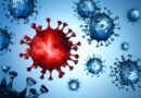Nipah Virüsü: Nedir? Belirtileri ve Tedavi Yöntemleri