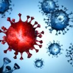 Nipah Virüsü: Nedir? Belirtileri ve Tedavi Yöntemleri