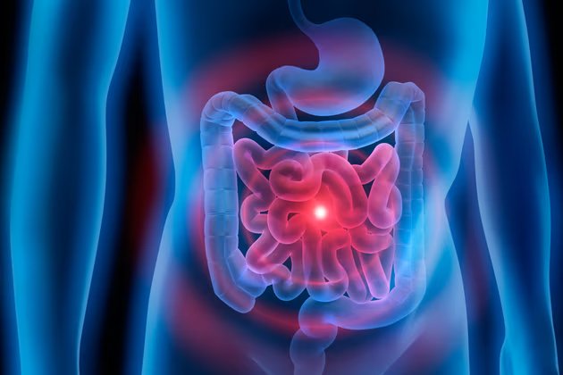 Mikroplastik Nedir? Mikroplastiklerin İnsan Sağlığı Üzerindeki Etkileri Nelerdir?